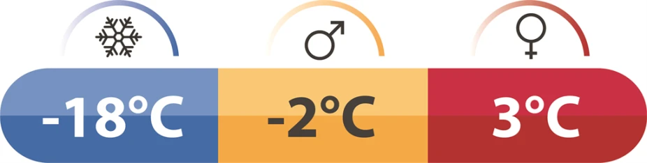 Robens Basecamp Singe Sleeping Bag - LEFT ZIP 16 Robens Basecamp Singe Sleeping Bag - LEFT ZIP - Image 14