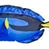 WSB Blue Tang Fish Pillow 50cm 2 WSB Blue Tang Fish Pillow 50cm -Robens Shop blue tang